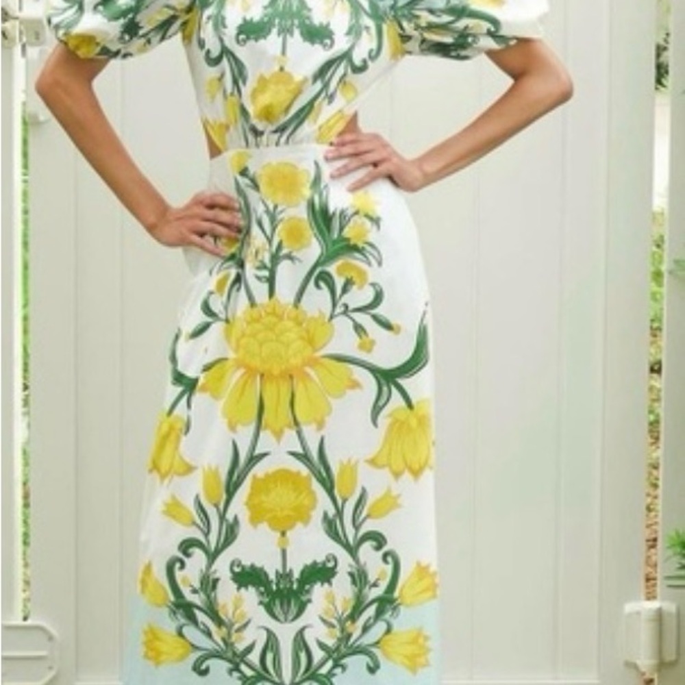 Floral Mestiza NY Print Midi  Dress NWT